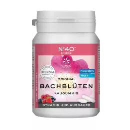 ENERGIE KAUGUMMI secondo il Dr. Bach, 40 pezzi