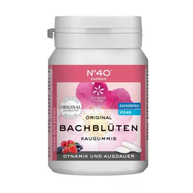 ENERGIE KAUGUMMI secondo il Dr. Bach, 40 pezzi
