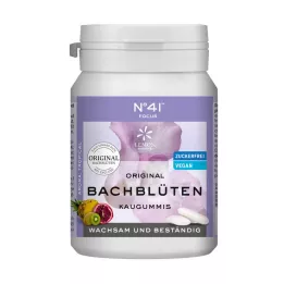 KONZENTRATION Gomma da masticare secondo il Dr. Bach, 40 pezzi