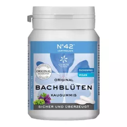 SELBSTVERTRAUEN Gomma da masticare secondo il Dr. Bach, 40 pezzi