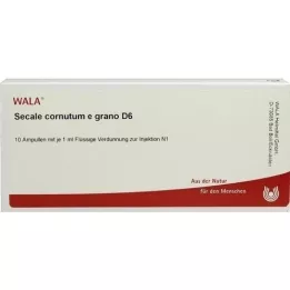 SECALE CORNUTUM E grano D 6 fiale, 10X1 ml