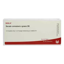 SECALE CORNUTUM E grano D 6 fiale, 10X1 ml