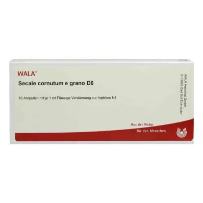 Secale Cornutum E Grano D6 fiale (10x1 ml) Secale Cornutum E Grano D6 fiale (10x1 ml)