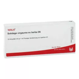SOLIDAGO VIRGAUREA ex herba D 6 Fiale, 10X1 ml