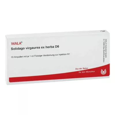 Solidago Virgaurea ex herba D6 fiale (10x1 ml)