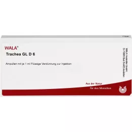 TRACHEA GL D 6 Fiale, 10X1 ml