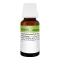 REVET H 5 globuli per animali domestici, 10 g