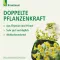 Bronchicum® Elisir, 100 ml