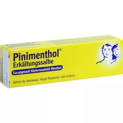 PINIMENTHOL Unguento freddo Eucal./Pine./Menth., 20 g