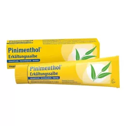 PINIMENTHOL Unguento freddo Eucal./Pine./Menth., 100 g