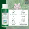 ALLGÄUER LATSCHENK. Linimento allarnica extra forte, 250 ml
