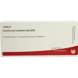 COLCHICUM E planta tota D 30 fiale, 10X1 ml