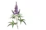 Instructions for use for Agnusfemina 4 mg compresse rivestite con film, 100 pz - 3