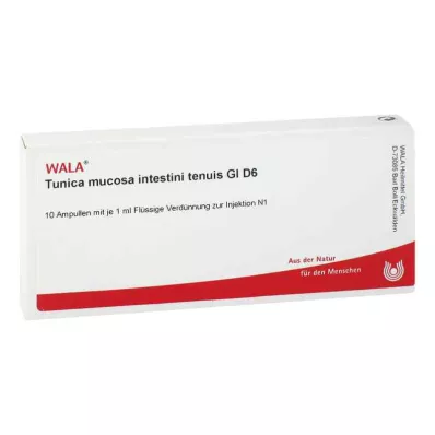 TUNICA mucosa intestini tenuis GL D 6 fiale, 10X1 ml TUNICA mucosa intestini tenuis GL D 6 fiale, 10X1 ml