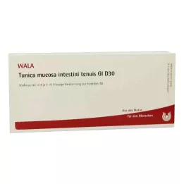 TUNICA mucosa intestini tenuis GL D 30 fiale, 10X1 ml