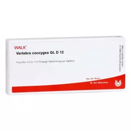 VERTEBRA coccigea GL D 12 fiale, 10X1 ml