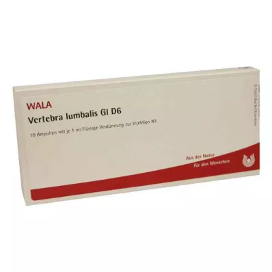 VERTEBRA lumbalis GL D 6 fiale, 10X1 ml VERTEBRA lumbalis GL D 6 fiale, 10X1 ml
