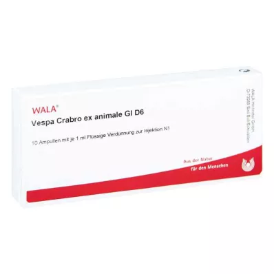 Vespa Crabro Ex Animale Gl D6 fiale (10x1 ml) Vespa Crabro Ex Animale Gl D6 fiale (10x1 ml)