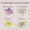 APOTHEKERS Balsamo per labbra, 1 pz