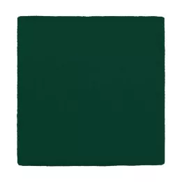 MULLKOMPRESSEN 10x10 cm 12x verde, 100 pezzi