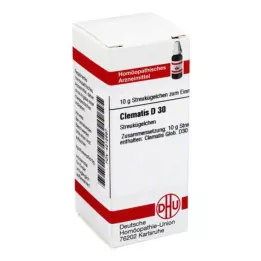 DHU Clematis D 30 globuli, 10 g