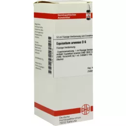 EQUISETUM ARVENSE D 6 Diluizione, 50 ml