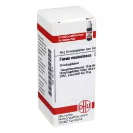 DHU Fucus vesiculosus D 6 globuli, 10 g