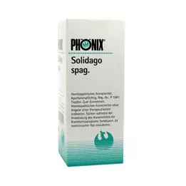 PHÖNIX SOLIDAGO miscela di spaghetti, 50 ml
