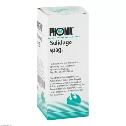 PHÖNIX SOLIDAGO miscela di spaghetti, 100 ml
