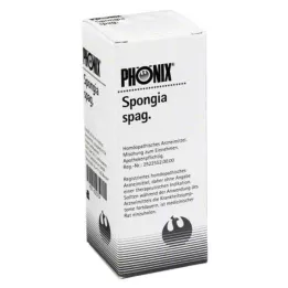 PHÖNIX SPONGIA miscela di spaghetti, 50 ml