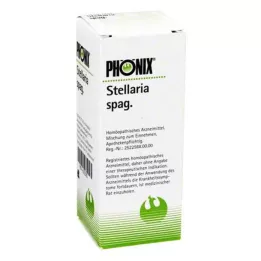 PHÖNIX STELLARIA miscela di spaghetti, 50 ml