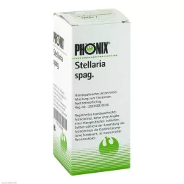 PHÖNIX STELLARIA miscela di spaghetti, 100 ml