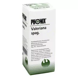 PHÖNIX VALERIANA miscela di spaghetti, 100 ml