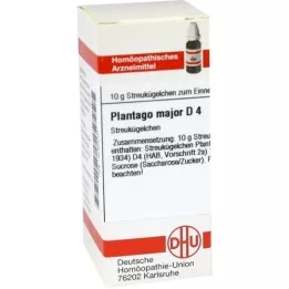 PLANTAGO MAJOR D 4 globuli, 10 g