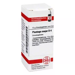 DHU Plantago Major D 4 globuli, 10 g