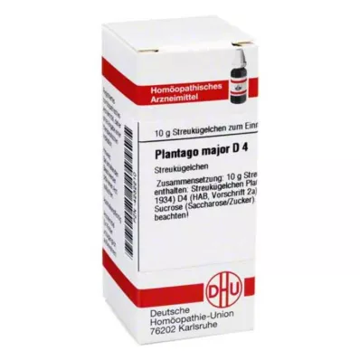 PLANTAGO MAJOR D 4 globuli, 10 g