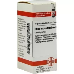 RHUS TOXICODENDRON C 1000 globuli, 10 g