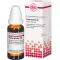 PANAX GINSENG D 6 Diluizione, 20 ml