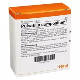 PULSATILLA COMPOSITUM Fiale, 10 pz