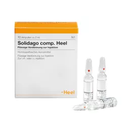 SOLIDAGO COMP.Fiale Heel, 10 pz