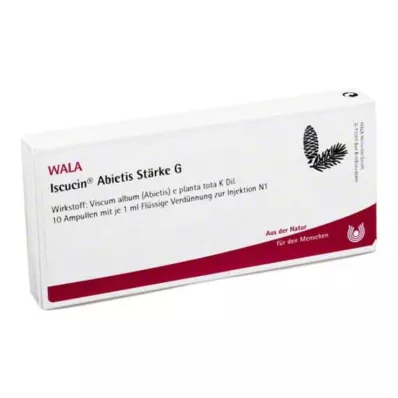 ISCUCIN abietis Amido G Fiale, 10X1 ml