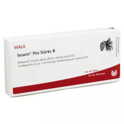 ISCUCIN pini Amido B Fiale, 10X1 ml