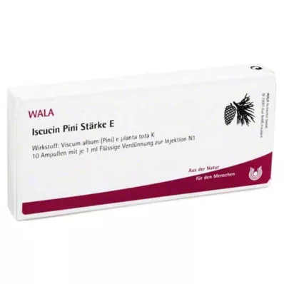 Iscucin Pini St.E fiale, 10x1 ml