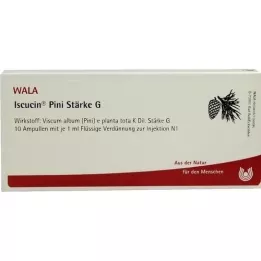 ISCUCIN pini Amido G Fiale, 10X1 ml