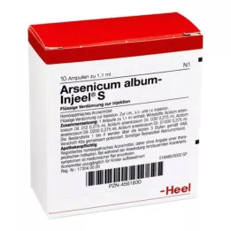 ARSENICUM ALBUM INJEEL Fiale S, 10 pz