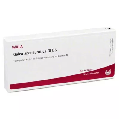 GALEA aponeurotica GL D 5 fiale, 10X1 ml