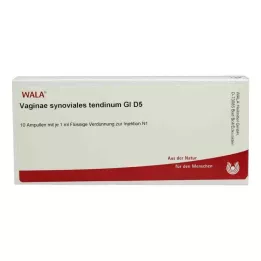 VAGINAE tendine sinoviale GL D 5 fiale, 10X1 ml