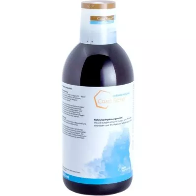 CASA SANA Concentrato di pulizia intestinale, 1000 ml