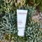 ALOE VERA CREME medium senza profumo, 30 ml