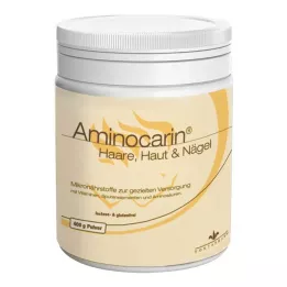 AMINOCARIN Stagno in polvere, 400 g
